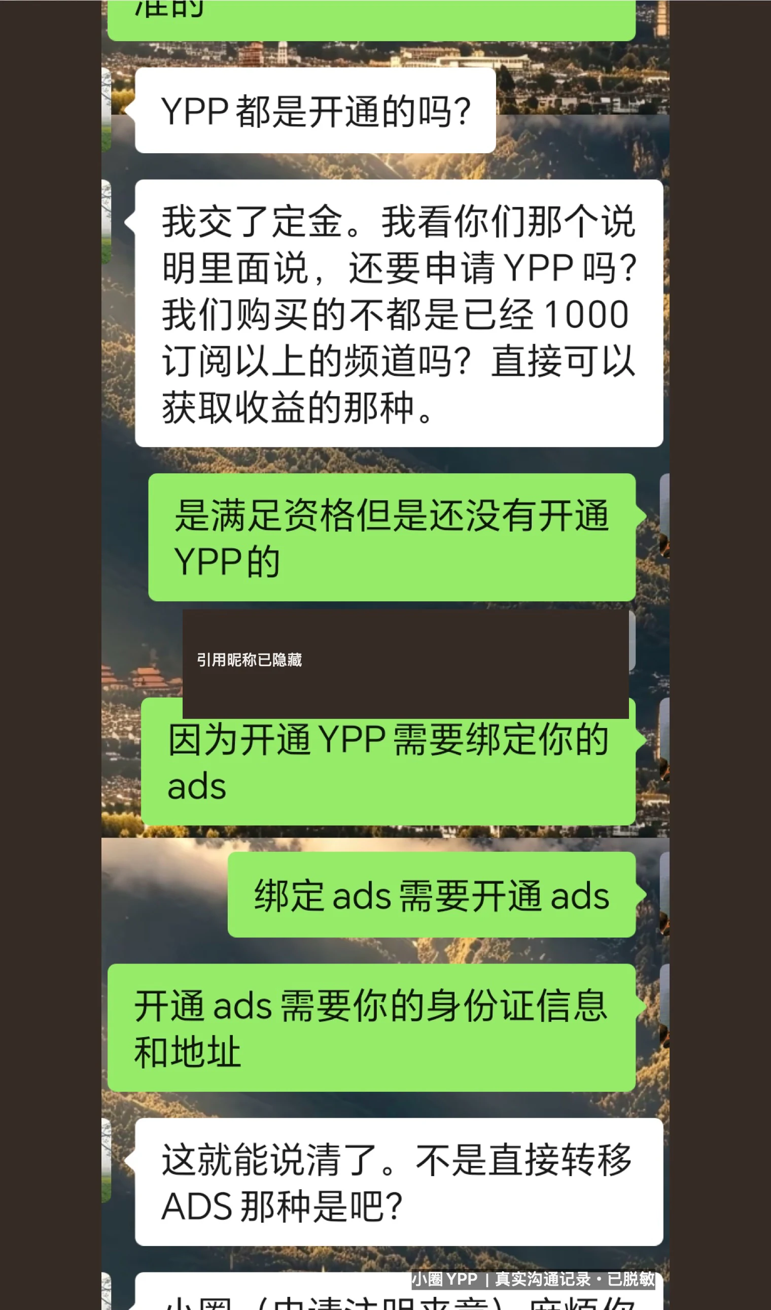客户询问 YPP 状态与 AdSense 关系的脱敏聊天记录